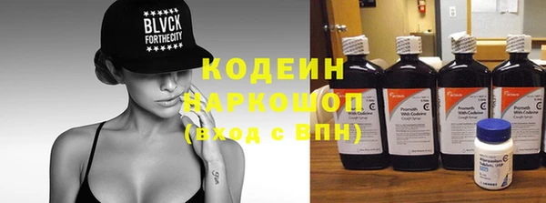 спайс Няндома