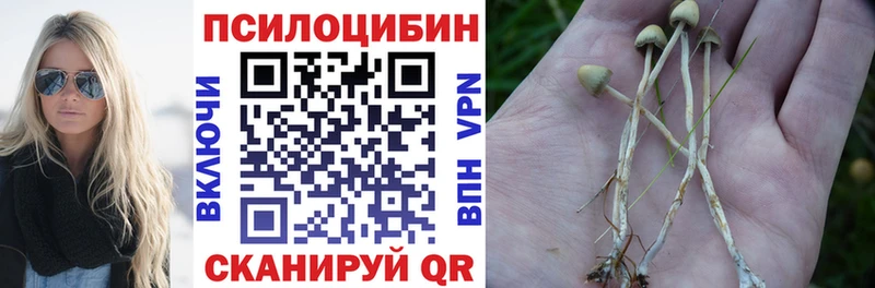 Псилоцибиновые грибы Magic Shrooms  Калининск 